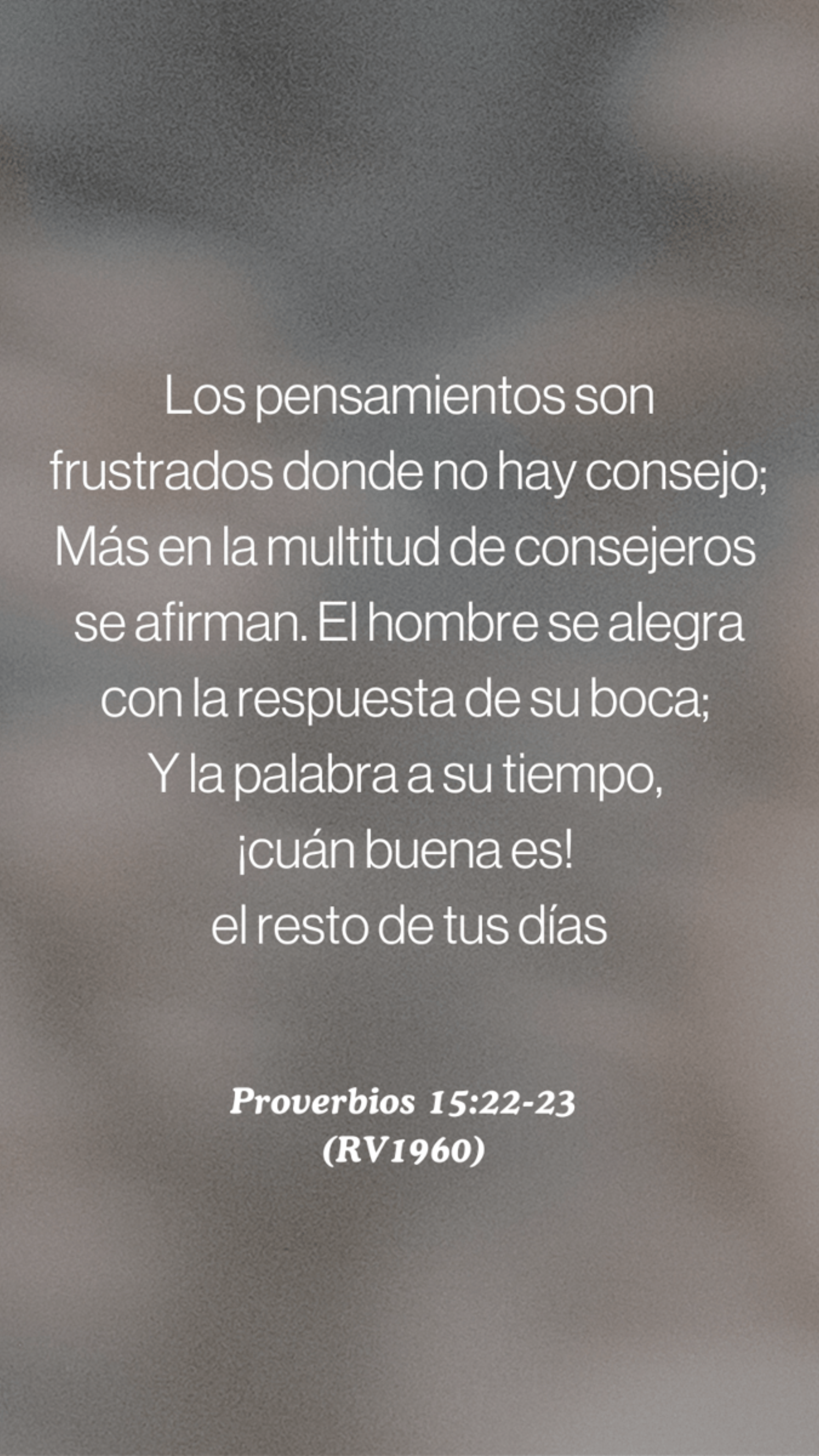 Diseño sin título (3)