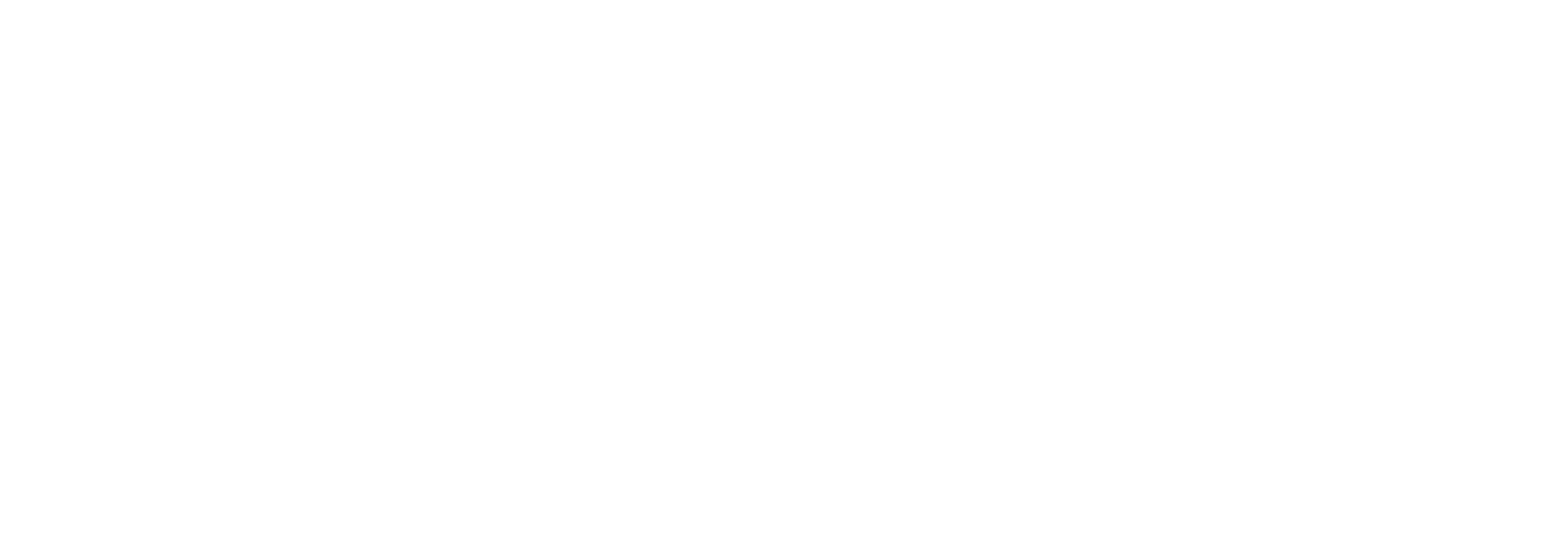 ConexionPastoral_BRANDING-4 white